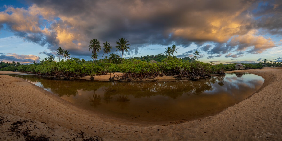 Palms, mangroves and coastline around Trancoso — photograph by Lawrence Leyderman