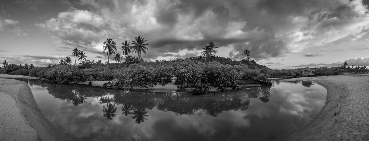 Palms, mangroves and coastline around Trancoso — photograph by Lawrence Leyderman