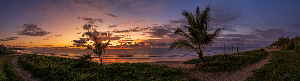 Palms, mangroves and coastline around Trancoso — photograph by Lawrence Leyderman