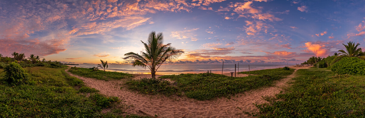 Palms, mangroves and coastline around Trancoso — photograph by Lawrence Leyderman