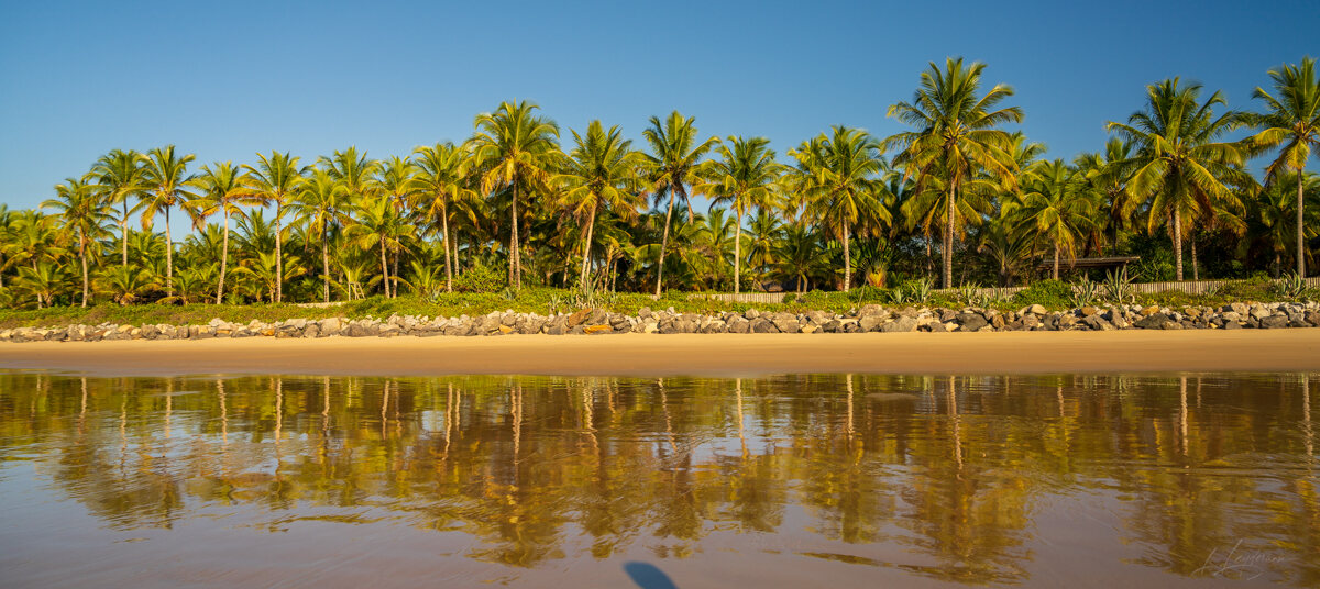 Palms, mangroves and coastline around Trancoso — photograph by Lawrence Leyderman