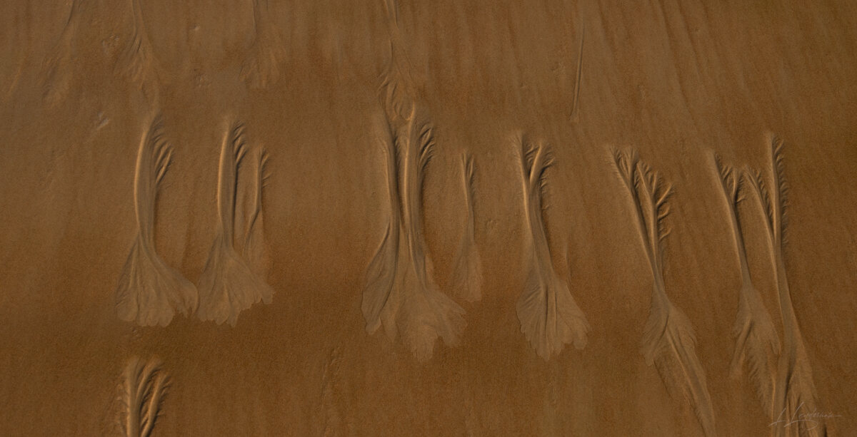 Tidal sand patterns at low tide, Trancoso — photograph by Lawrence Leyderman