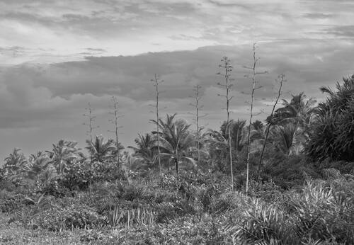 Trancoso