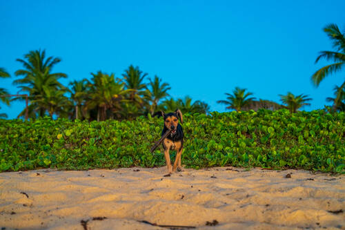 Trancoso