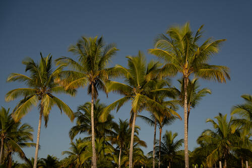 Trancoso
