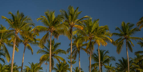 Trancoso