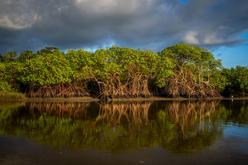 Trancoso