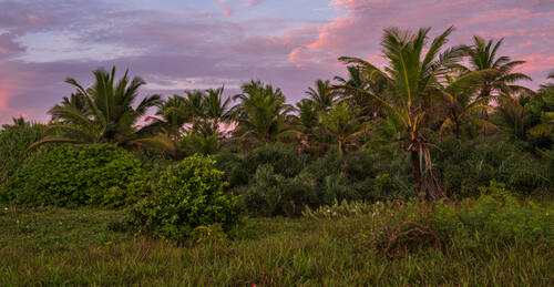 Trancoso