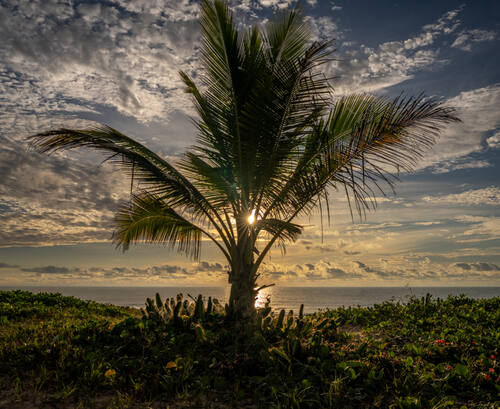 Trancoso