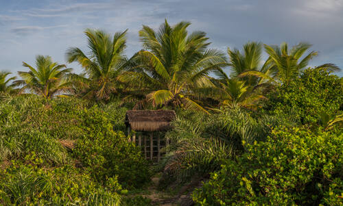 Trancoso
