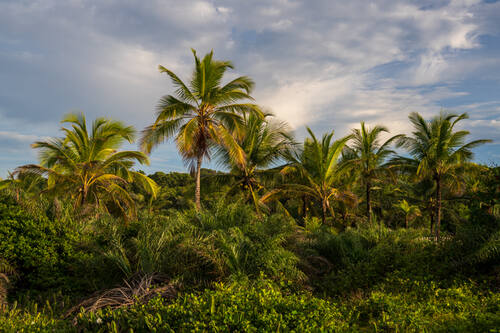 Trancoso