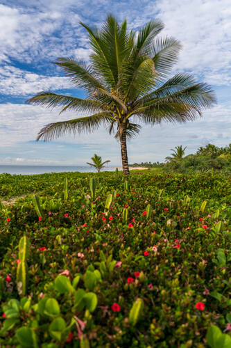 Trancoso