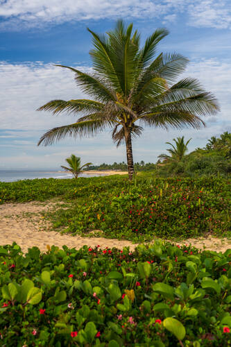 Trancoso