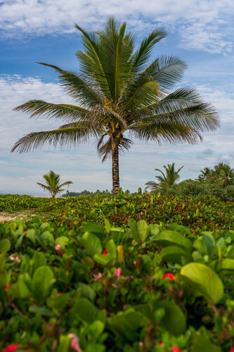 Trancoso