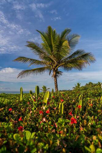Trancoso