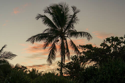 Trancoso