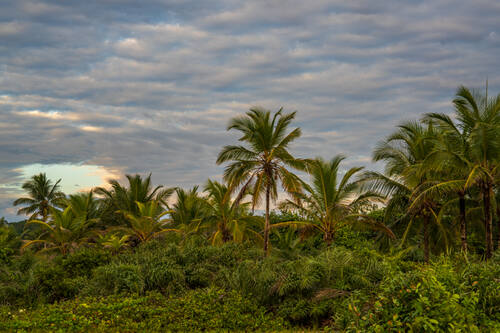Trancoso