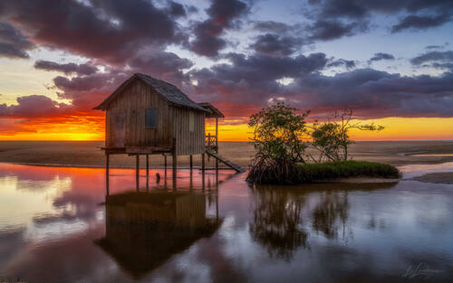 Palms, mangroves and coastline around Trancoso — photograph by Lawrence Leyderman