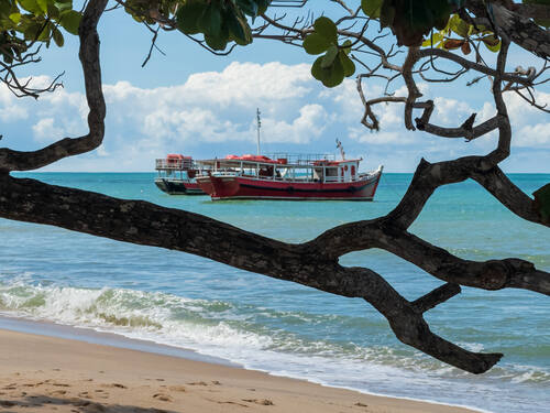 Palms, mangroves and coastline around Trancoso — photograph by Lawrence Leyderman