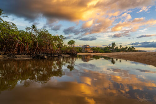 Palms, mangroves and coastline around Trancoso — photograph by Lawrence Leyderman