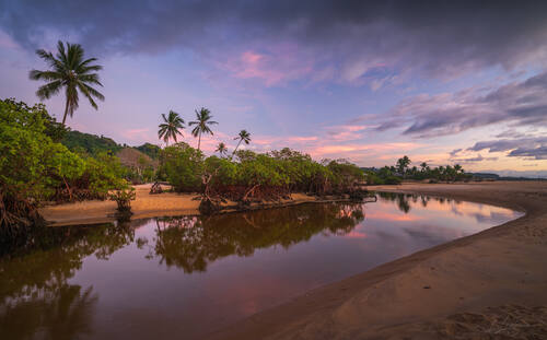Palms, mangroves and coastline around Trancoso — photograph by Lawrence Leyderman