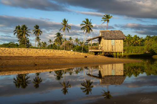 Palms, mangroves and coastline around Trancoso — photograph by Lawrence Leyderman