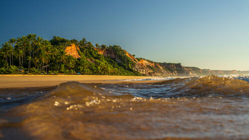 Palms, mangroves and coastline around Trancoso — photograph by Lawrence Leyderman