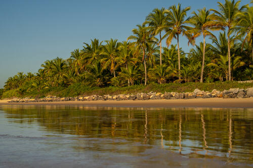 Palms, mangroves and coastline around Trancoso — photograph by Lawrence Leyderman