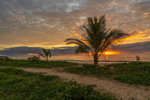 Palms, mangroves and coastline around Trancoso — photograph by Lawrence Leyderman