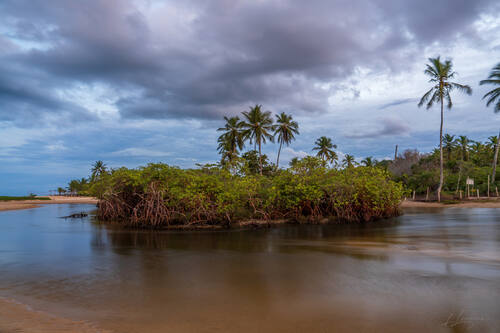 Palms, mangroves and coastline around Trancoso — photograph by Lawrence Leyderman