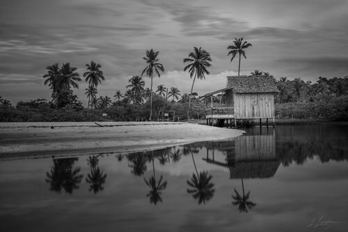 Palms, mangroves and coastline around Trancoso — photograph by Lawrence Leyderman