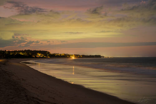 Palms, mangroves and coastline around Trancoso — photograph by Lawrence Leyderman