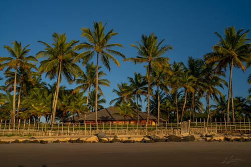 Palms, mangroves and coastline around Trancoso — photograph by Lawrence Leyderman