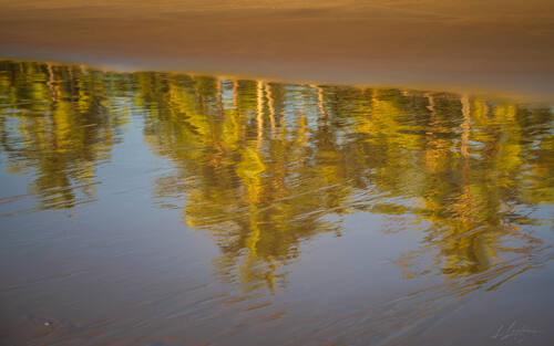 Palms, mangroves and coastline around Trancoso — photograph by Lawrence Leyderman