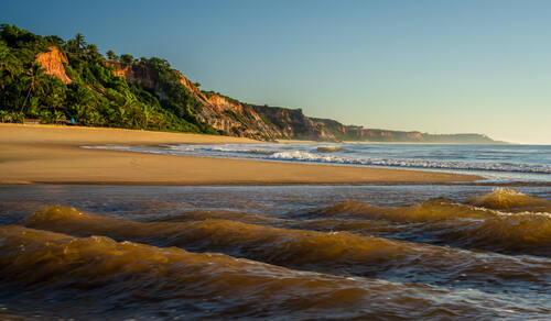 Palms, mangroves and coastline around Trancoso — photograph by Lawrence Leyderman