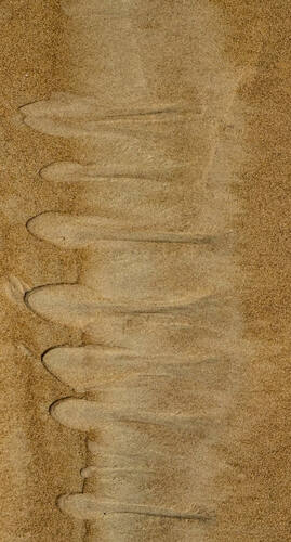 Tidal sand patterns at low tide, Trancoso — photograph by Lawrence Leyderman