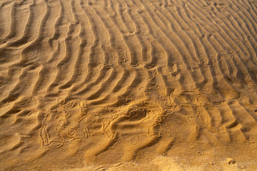 Tidal sand patterns at low tide, Trancoso — photograph by Lawrence Leyderman