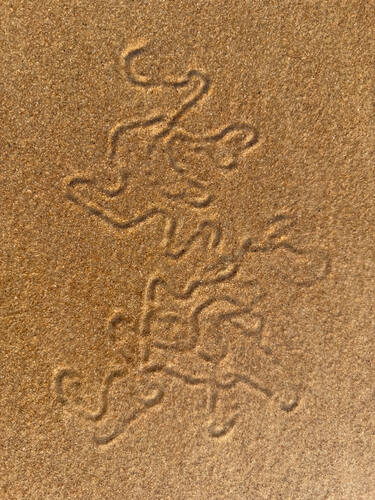 Tidal sand patterns at low tide, Trancoso — photograph by Lawrence Leyderman