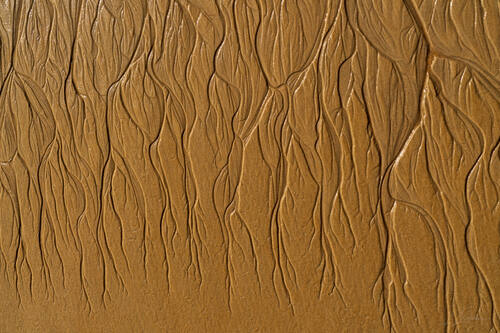 Tidal sand patterns at low tide, Trancoso — photograph by Lawrence Leyderman