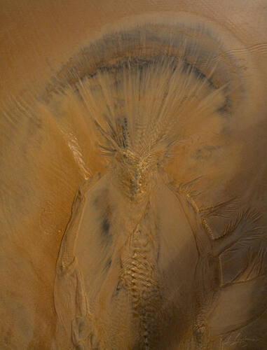 Tidal sand patterns at low tide, Trancoso — photograph by Lawrence Leyderman