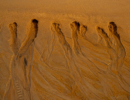 Tidal sand patterns at low tide, Trancoso — photograph by Lawrence Leyderman