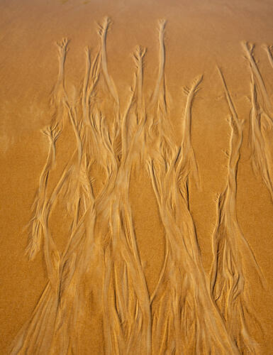 Tidal sand patterns at low tide, Trancoso — photograph by Lawrence Leyderman